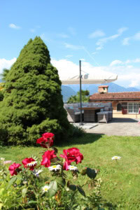 Schöner Garten mit großen Baum, Blumen und Terrasse mit Sonnenschirm.
