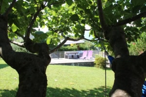 Blick durch zwei große Bäume auf eine grüne Rasenfläche und einen Sitzbereich im Garten.