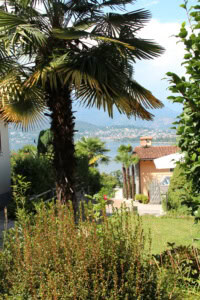 Garten mit Palmen, Pflanzen und Blick auf den See im Hintergrund.