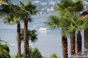 Palmen am Ufer des Sees mit Boot im Hintergrund.